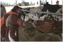 The Farmer's Cow